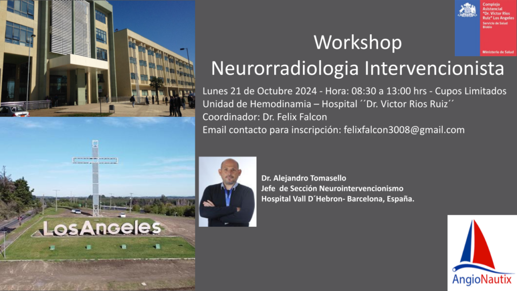 Flyer Workshop Neuro Rad Int SILAN 2024 HVRR (2).pptx